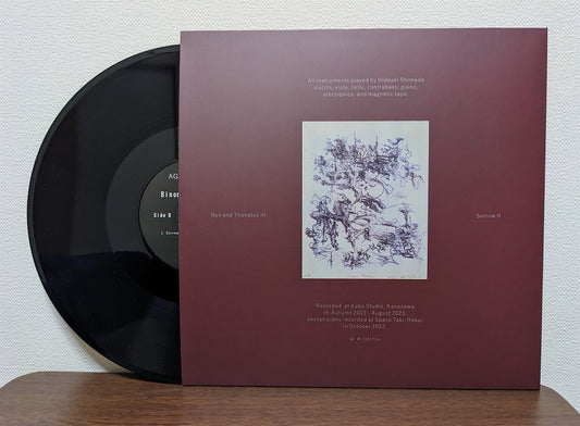 AGENCEMENT - Binomial Cascades