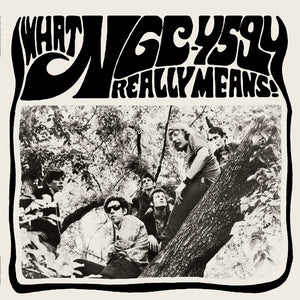 NGC-4594 - What NGC-4594 Really Means!