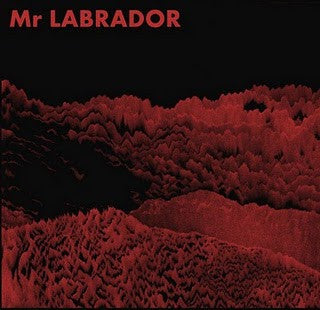 MR LABRADOR - S/T
