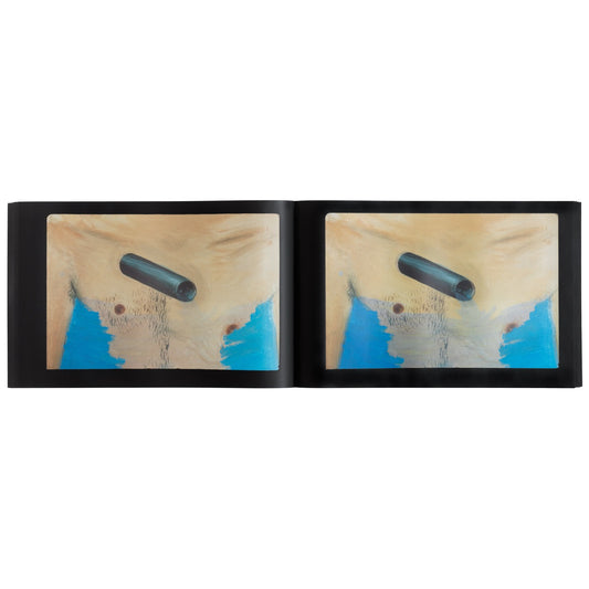 GOBER, ROBERT - Slides of a Changing Painting