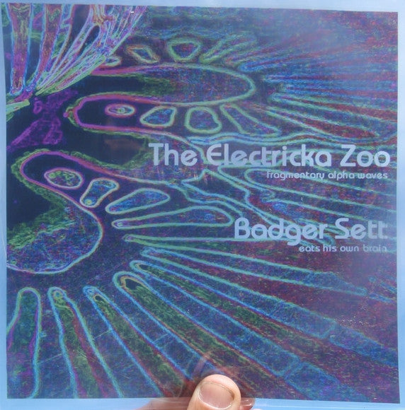 ELECTRICKA ZOO, THE/BADGER SETT - Split