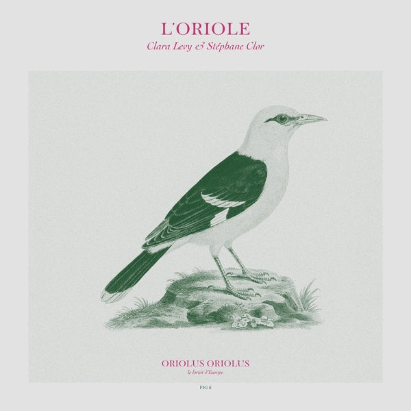 LEVY & STEPHANE CLOR, CLARA - L'Oriole