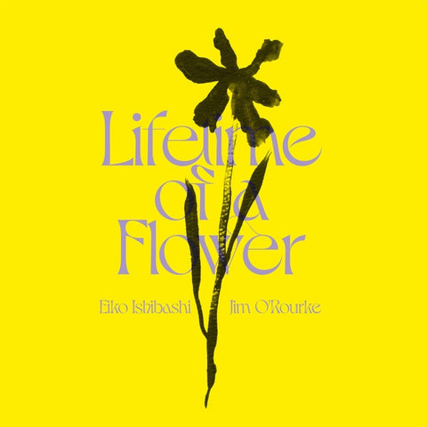 ISHIBASHI/JIM O'ROURKE, EIKO - Lifetime of a Flower