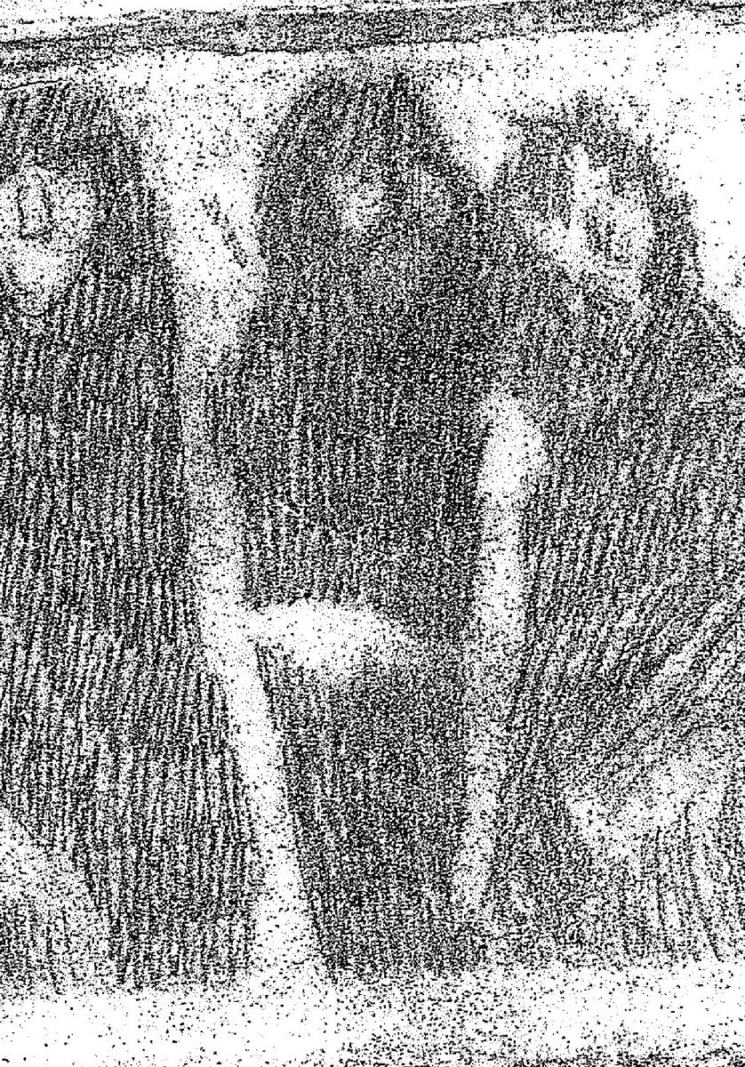 MUENG, WILLIAM HENRY - Ghosting The Garden After The Fire