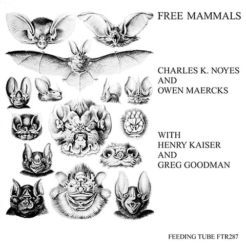 NOYES, CHARLES K. & OWEN MAERCKS WITH HENRY KAISER & GREG GOODMAN - Free Mammals