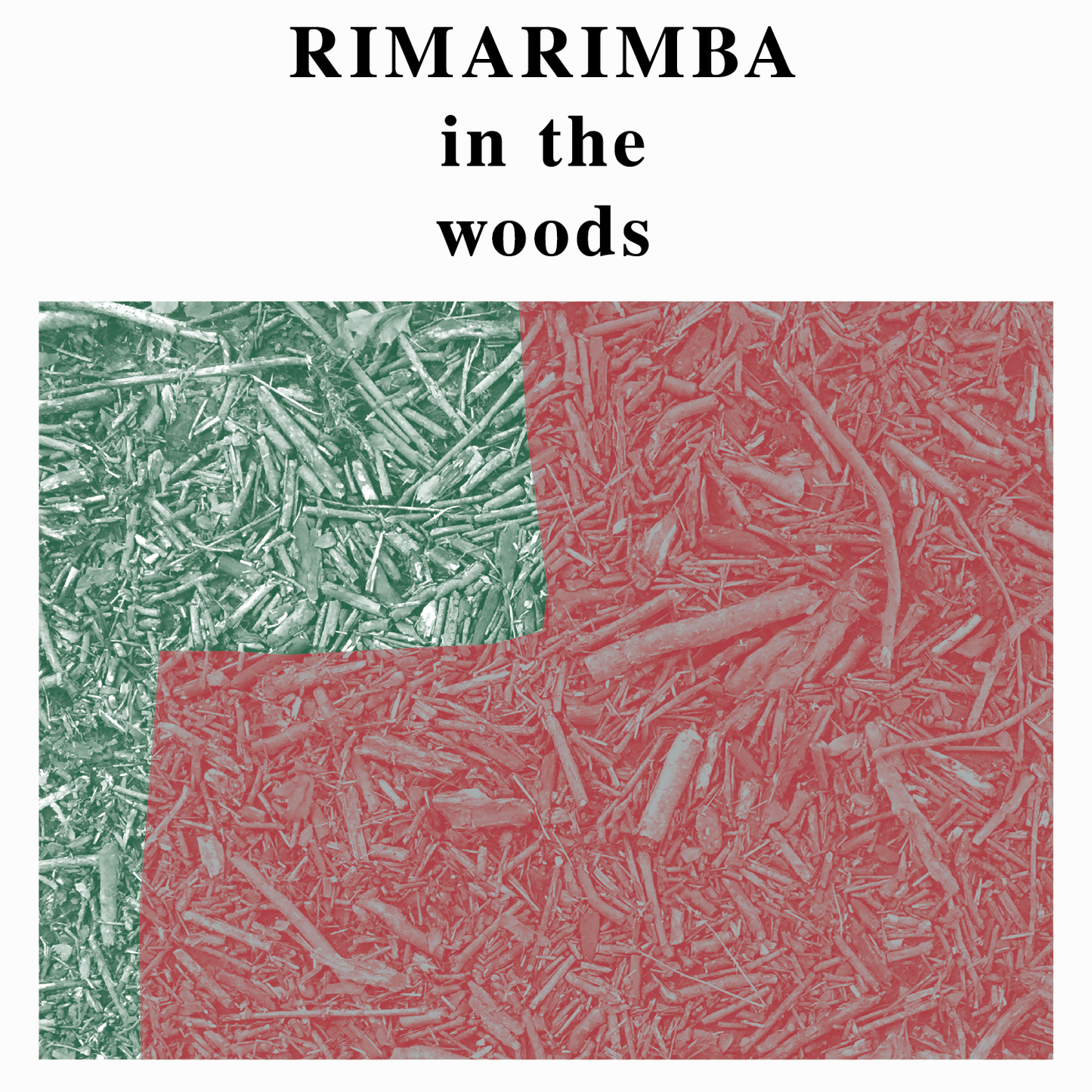 RIMARIMBA - In The Woods