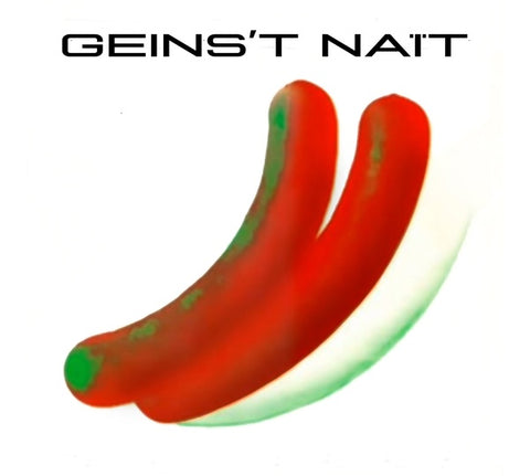 GEINS'T NAIT - GN