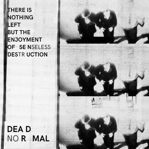 DEAD NORMAL - There Is Nothing Left But The Enjoyment Of Senseless Destruction