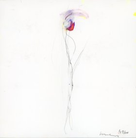 CONNORS, LOREN - Unaccompanied Acoustic Guitar Improvisations Vol. 10