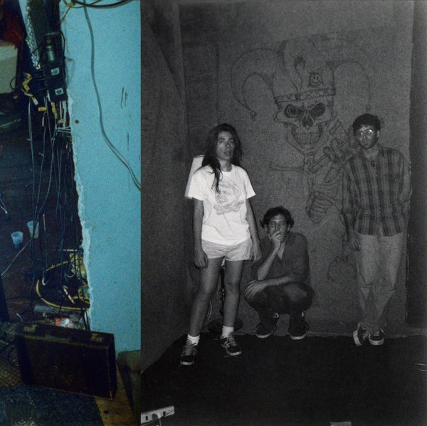 HARRY PUSSY - You'll Never Play This Town Again