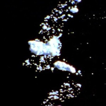 fusetron CRYSTAL MYSLAJEK, Circadia