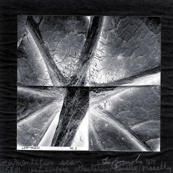 fusetron BRUSH, LEIF, Stitching in Process: Windmixed Data