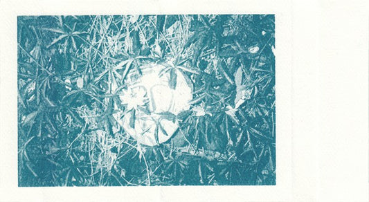 POLONIUS – Antique Marvel