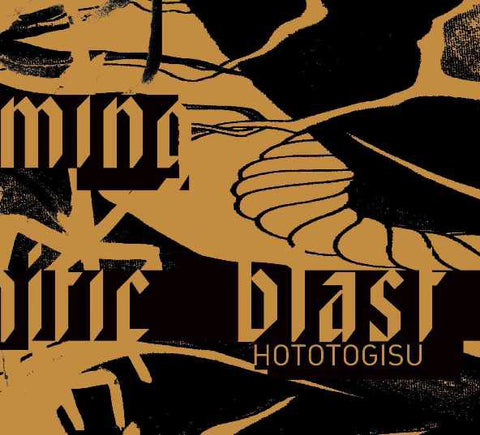 fustron HOTOTOGISU, Brooming Mephitic Blast (Live in Porto)