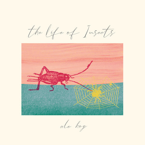 HOP, ALE - The Life of Insects