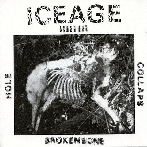 ICEAGE - S/T