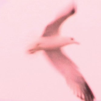 fusetron HOLTER, JULIA, Maria/2HB