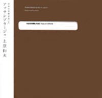 fusetron UEHARA, KAZUO, Experimental Music of Japan Vol. 8: Assemblage