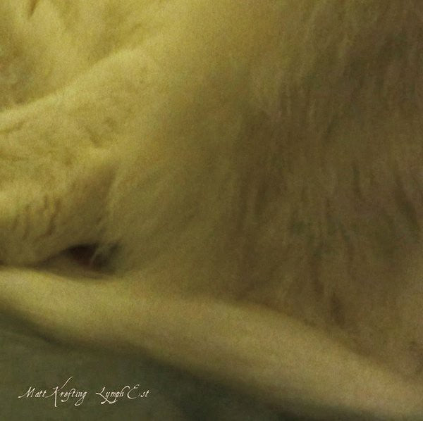 fusetron KREFTING, MATT, Lymph Est