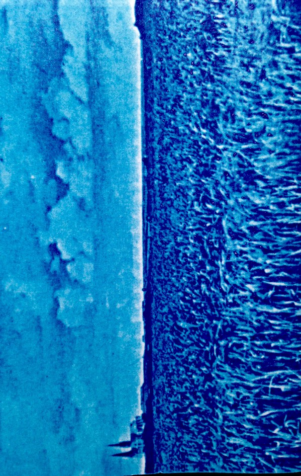 fusetron D.D. DOBSON, The Classic of Purity