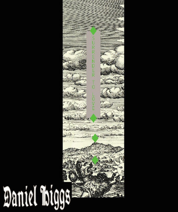 fustron HIGGS, DANIEL, Surrender To Love