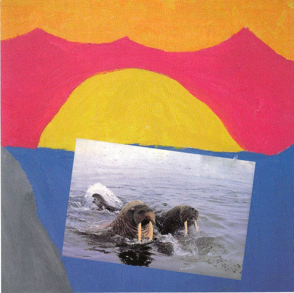 fustron AVARUS, Vesikansi