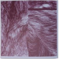 fusetron LETTERA 22, Legacy Map