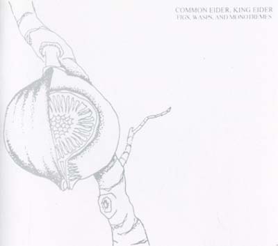 COMMON EIDER, KING EIDER - Figs, Wasps, And Monotremes