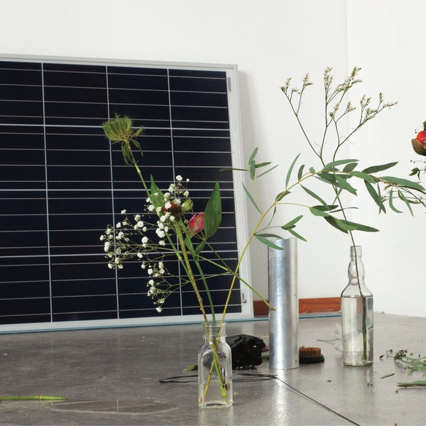 AHTI, MARJA - Still Lives