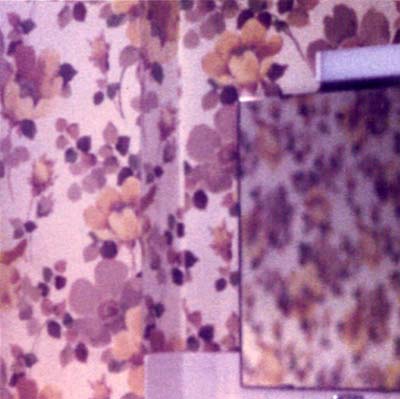 INDIGNANT SENILITY - Plays Wagner