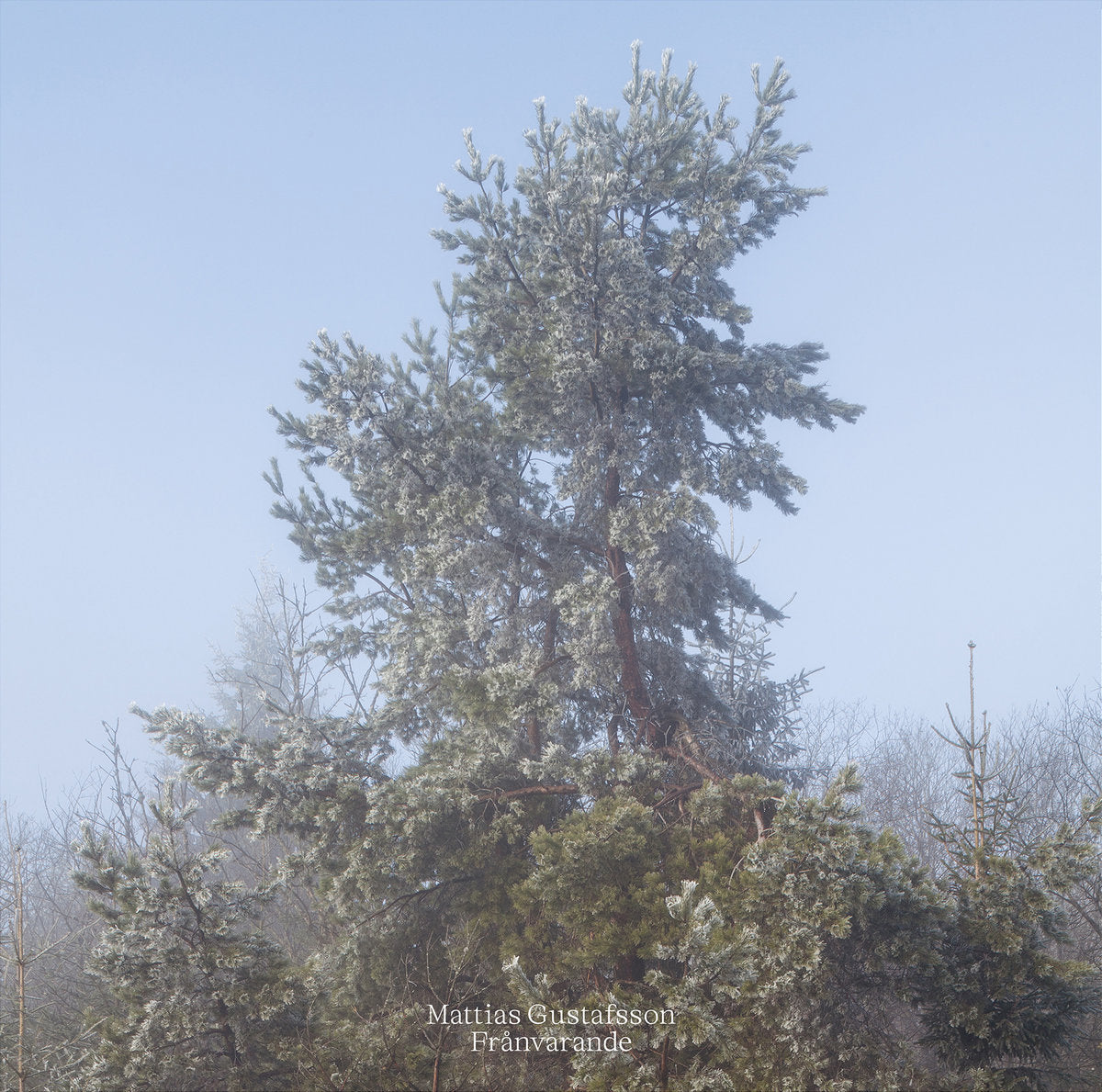 MATTIAS GUSTAFSSON – Frånvarande