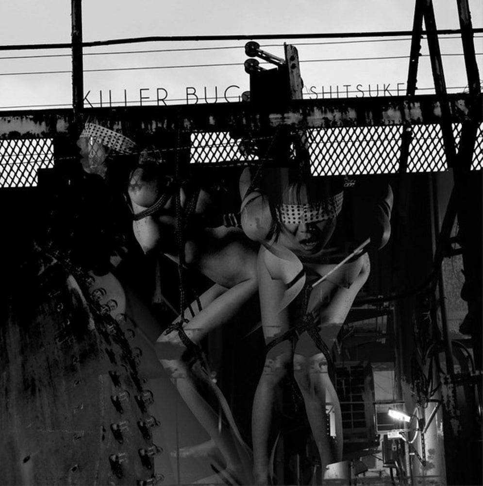 KILLER BUG - Shitsuke