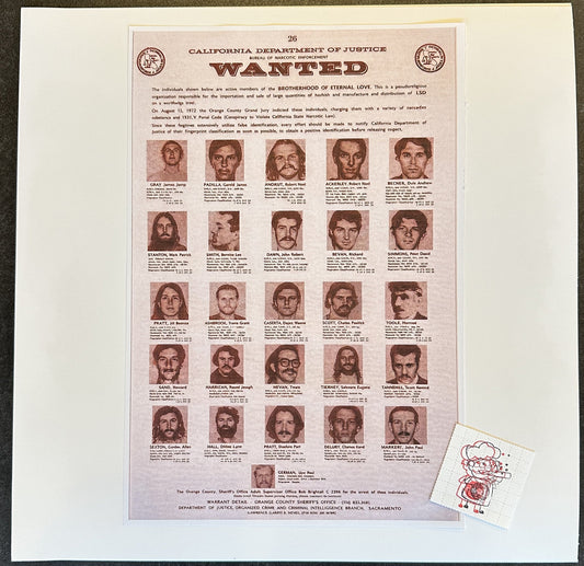 V/A - Laguna Beach Happening LP (AKA "100% Unknown Fibers: Odd Lots")