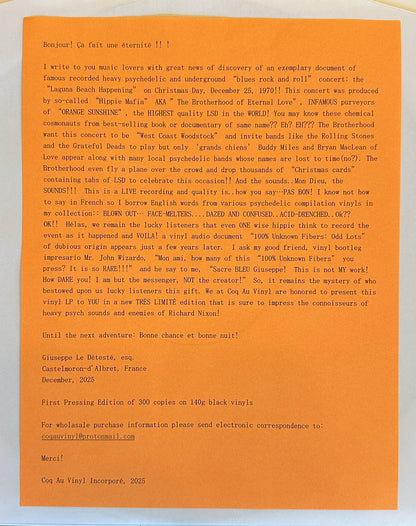 V/A - Laguna Beach Happening LP (AKA "100% Unknown Fibers: Odd Lots")