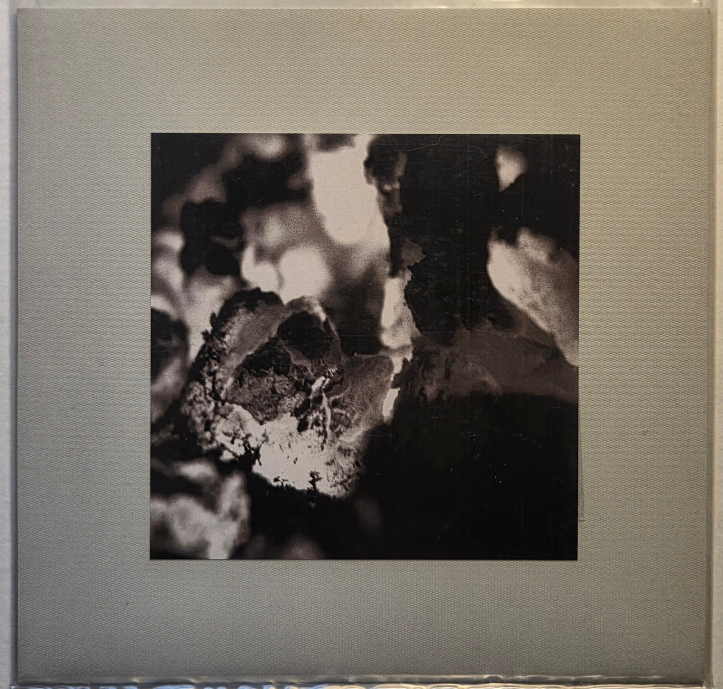 HIVE MIND - Untitled