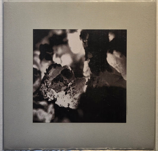 HIVE MIND - Untitled