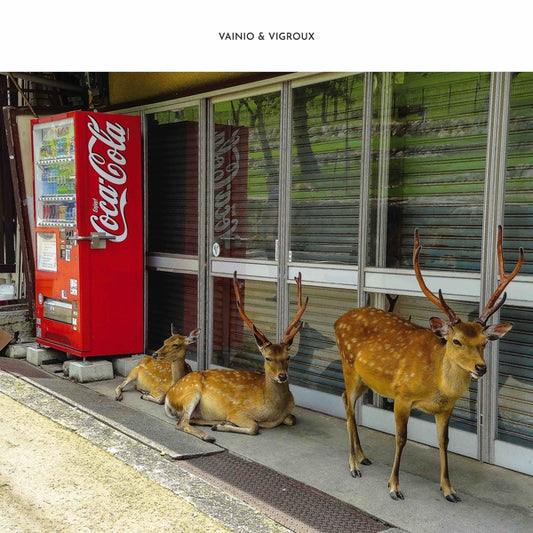 VAINIO & VIGROUX - Peau Froide, Leger Soleil