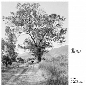 LOS GIGANTES DORMIDOS - Los Jardines De Mis Abuelos