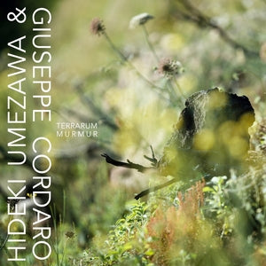 UMEKAWA & GIUSEPPE CORDARO, HIDEKI - Terrarum Murmur