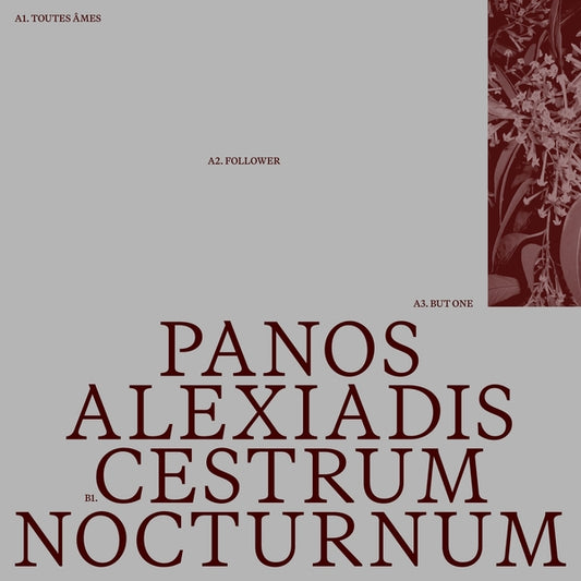 ALEXIADIS, PANOS - Cestrum Nocturnum