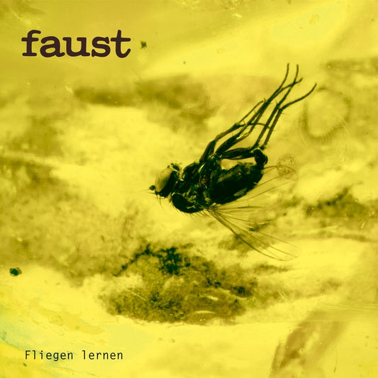 FAUST - Fliegen lernen (Indie Exclusive)