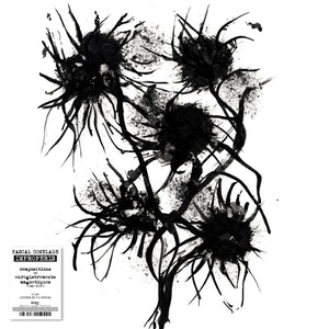 COMELADE, PASCA - Improperis: Compositions et enregistrements magnetiques (1984-2024)