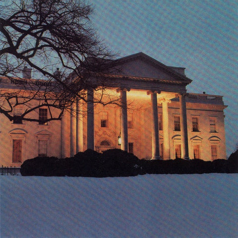 DEAD C, THE - The White House