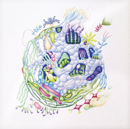 EDREN, DAVID - Binnenin