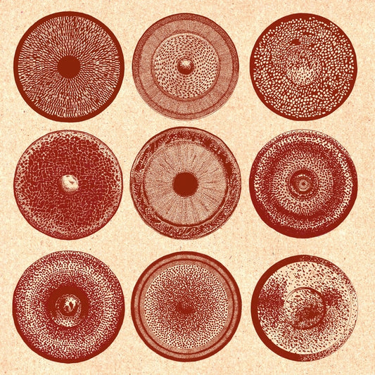 ENSEMBLE NIST-NAH - Spilla