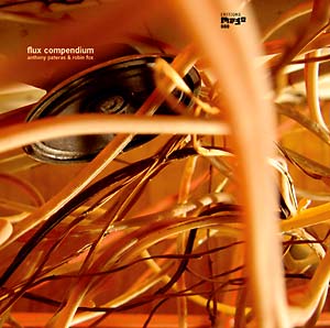 PATERAS & ROBIN FOX, ANTHONY - Flux Compendium