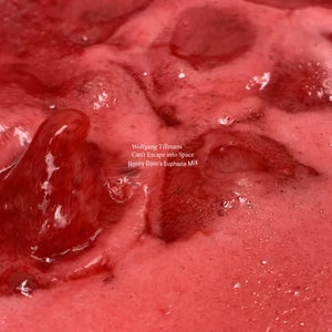TILLMANS, WOLFGANG - Can't Escape into Space: Honey Dijon's Euphoria Mix