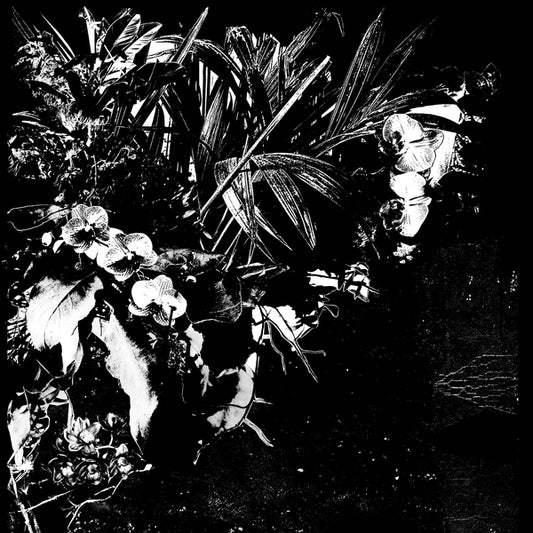 MERTENS, JEF - Orchid Alto