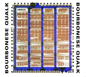 BOURBONESE QUALK - My Government Is My Soul
