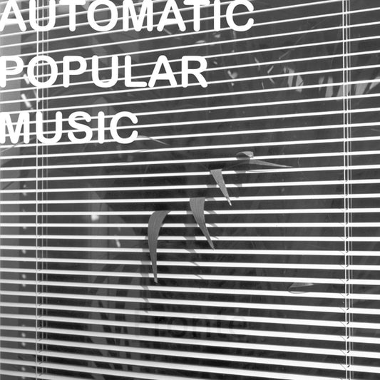 RATTI, NICOLA - Automatic Popular Music
